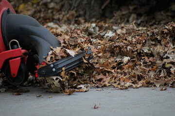 close-up of a chipper shredder vac on fall foliage autumn leaves landscaping background