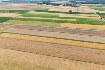 Naklejka premium Aerial view of colorful patchwork fields showcasing various agricultural practices in rural areas. The vibrant greens, yellows, and browns create a stunning landscape.