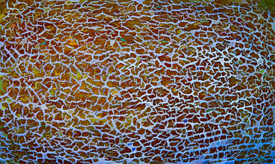 melon texture as background for artists