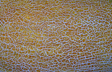melon peel texture as background, texture