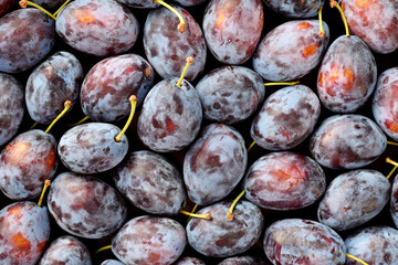 Fresh ripe plums background, top view