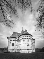 portrait view to facade of old church under tree branches in monochrome style