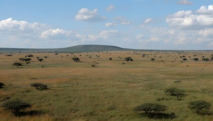 Obraz premium Expansive Savannas of Kiang West National Park with Open Grasslands