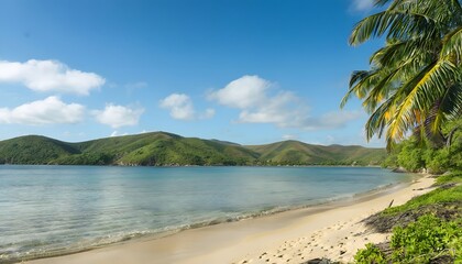 Obraz premium Secluded La Sagesse Bay with Coconut Palms and Golden Sand