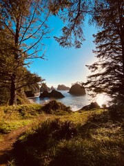 Coastal Oregon Sea Cliffs