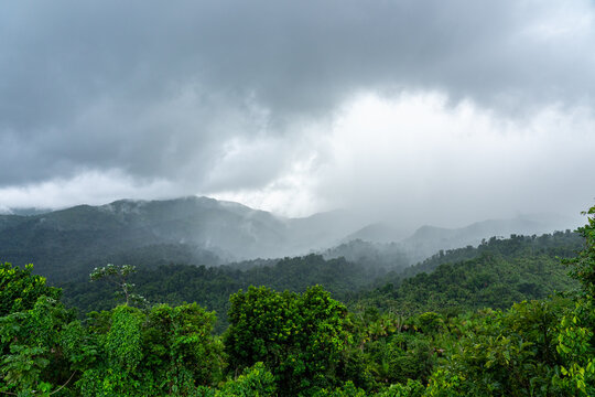Beautiful mountains of the El Yunque rain forest Puerto Rico 