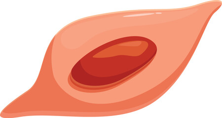 Liver fluke is a parasitic flatworm carrying infectious disease, biological vector parasite spreading illness