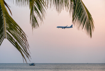 Tropical scene with an airplane flying over the sea at sunset, with palm leaves and a boat in the foreground