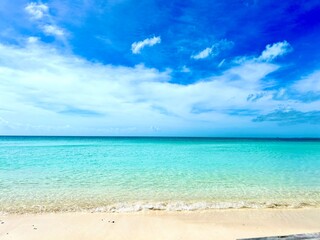 Fototapeta premium Turks and Caicos beach with turquoise waters, white sand, and lush greenery. A tropical paradise perfect for vacation, travel, nature, and beach photography, capturing the beauty of an exotic island
