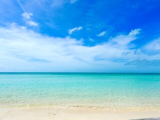 Turks and Caicos beach with turquoise waters, white sand, and lush greenery. A tropical paradise perfect for vacation, travel, nature, and beach photography, capturing the beauty of an exotic island
