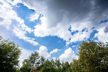 Obraz premium A breathtaking and vibrant sky filled with fluffy clouds above a beautiful tree landscape
