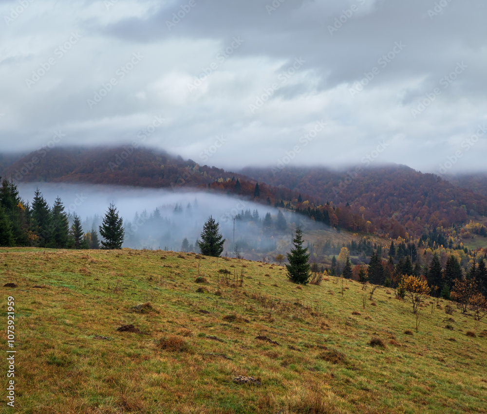 Wall mural Cloudy and foggy early morning autumn mountains scene. Peaceful picturesque traveling, seasonal, nature and countryside beauty concept scene. Carpathian Mountains, Ukraine.