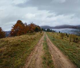 Hazy and overcast early morning in autumn Carpathian Mountains and dirty countryside path, Ukraine.