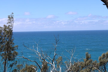 light blue sky, deep blue sea and coarse shoreline brush