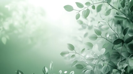 Green Leaves Background