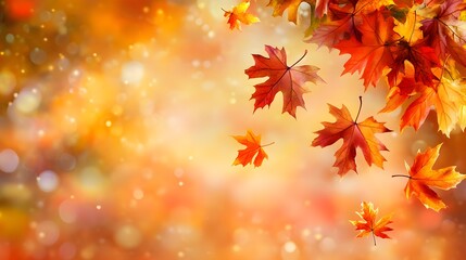 Fototapeta premium Flying autumn maple leaves isolated on warm autumn background