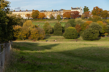 Richmond Hill terrace and gardens viewed from Petersham Meadows in autumn