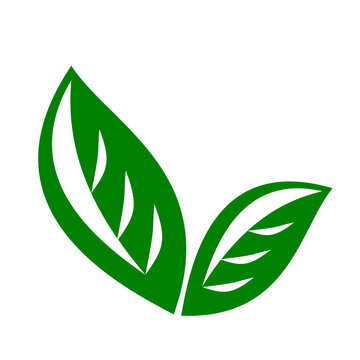 Vector illustration, logo, icon, plant with green leaves. Isolated on a white background.