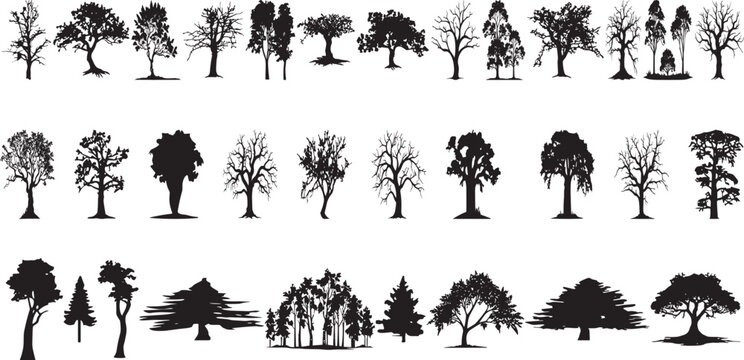 silhouette tree line drawing set, Side view, set of graphics trees elements outline symbol