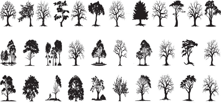 silhouette tree line drawing set, Side view, set of graphics trees elements outline symbol
