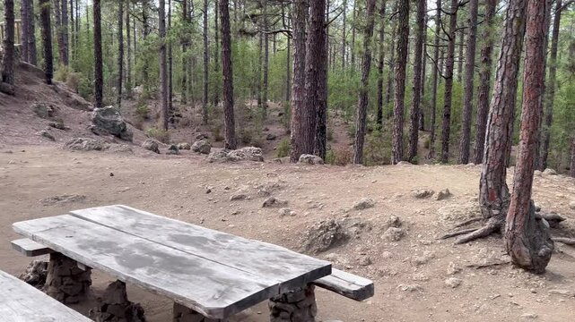Fogones y mesas en las monta&ntilde;as de Tenerife, Islas Canarias