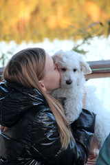 Little girl kissing Maltipoo puppy. Girl loving her pet. Child embracing white dog