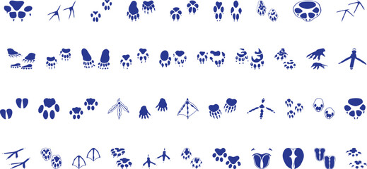 Animals paw prints. Cartoon mammal footprints, black bird foot. 