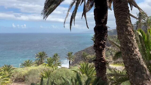Senderos entre palmeras en La Rambla de Castro, costa de Los Realejos, Tenerife, Islas Canarias