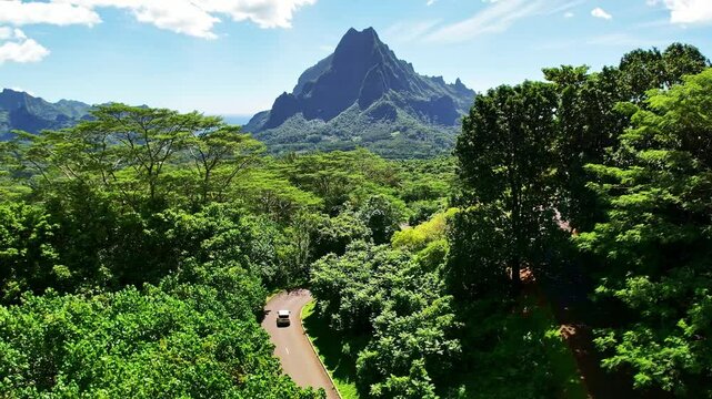 Drone aerial view of Moorea. Tahiti French Polynesia. Tropical paradise, Tahiti adventure vacation. Green jungle mountain forest of Mount Rotui.