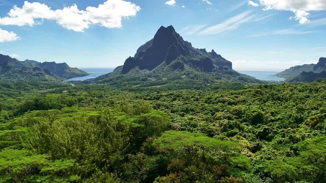 Drone aerial view of Moorea. Tahiti French Polynesia. Tropical paradise, Tahiti adventure vacation. Green jungle mountain forest of Mount Rotui.
