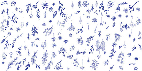 Christmas plant leaf, flower set.