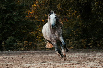 Udidor © ScullyPictures