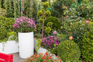 A scenic garden nook in the park. Red oleander blooms amidst orange and yellow chrysanthemums with...