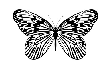 Butterfly Idea idea a vector illustration