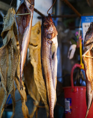 dried fish