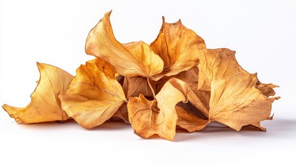 Naklejka premium Dried Leaves Pile on White Background