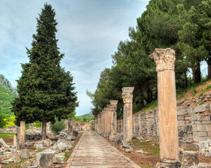 Fototapeta premium Scenic view of an ancient stone pathway lined with Corinthian columns and surrounded by trees in the historic ruins of Ephesus, Turkey. 