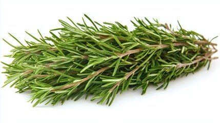 A vibrant bundle of fresh rosemary sprigs on a white background, showcasing its lush green leaves and detailed texture.