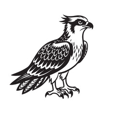 American osprey bird silhouette vector art illustration 