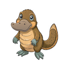 Realistic Platypus vector art illustration 
