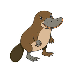 Realistic Platypus vector art illustration 