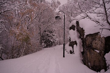 First Snowfall outside Stockholm Sweden Fog Mist