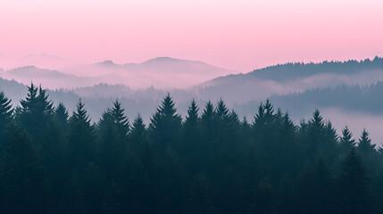 Obraz premium Serene Transcendent Pink Sunset over Misty Evergreen Forests in Mountains