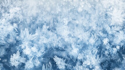 Obraz premium A mesmerizing close-up of delicate snowflakes and frost crystals, forming an icy blue pattern that evokes winter's beauty.