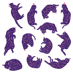 Mystical set of cats in boho style, Silhouette collection. Witchcraft and sorcery. Esoterics and mysticism, occultism. Cartoon flat vector illustrations, isolated