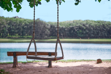 Swing sitting next to the lake