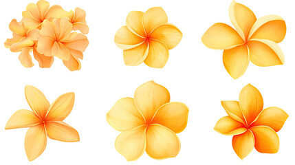 Obraz premium Plumeria Flower Blossoms on Transparent Background Generative AI