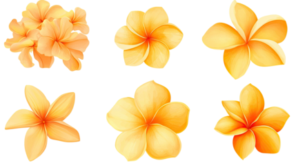 Plumeria Flower Blossoms on Transparent Background Generative AI