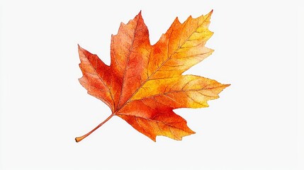 Close-up of a colorful red and orange maple leaf, detailed autumn element clipart, isolated on white background, perfect for seasonal marketing