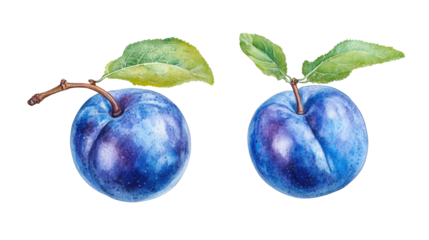 Ripe Plum Illustrations With Green Leaves on Transparent Background Generative AI
